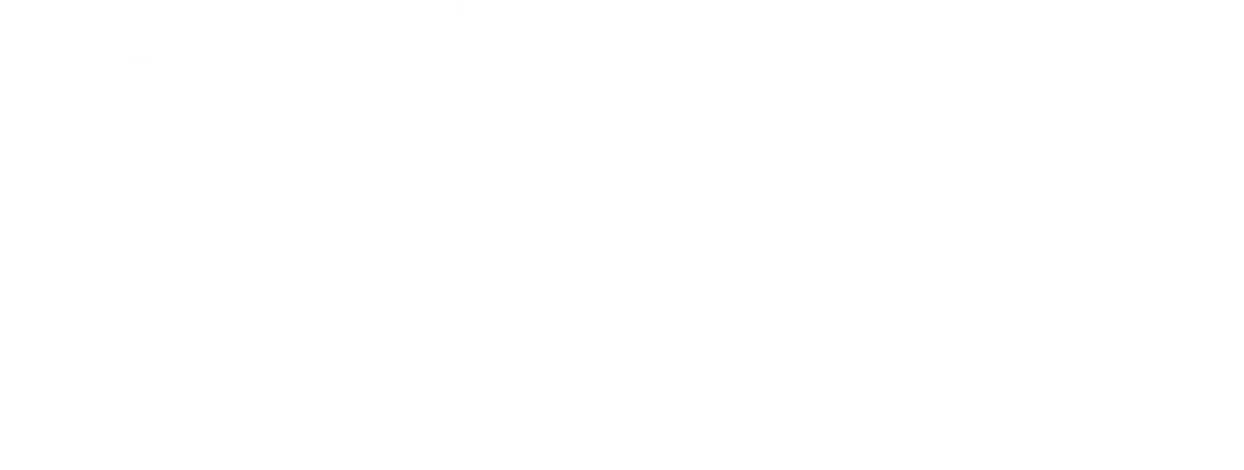 The Paquebot Company